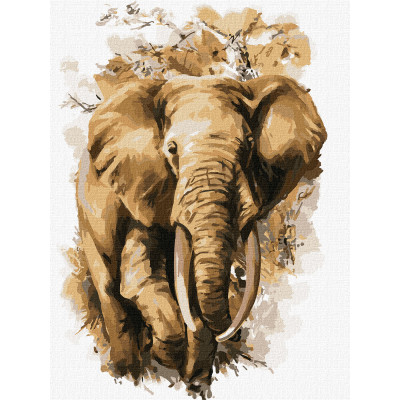 Maľovanie podľa čísel – Slon